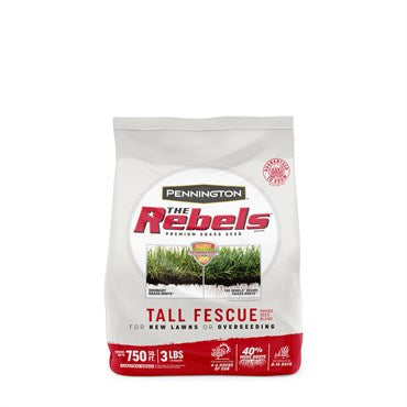 Grass Seed Tall Fescue
